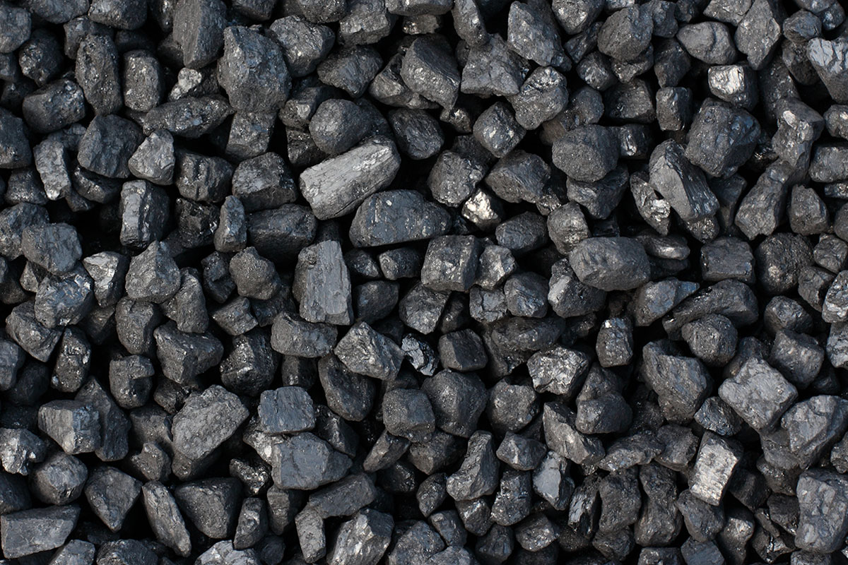 Рыбные ресурсы каменный уголь
